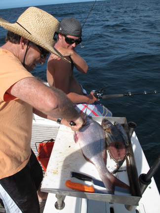 Pete Filleting One of Our Catch